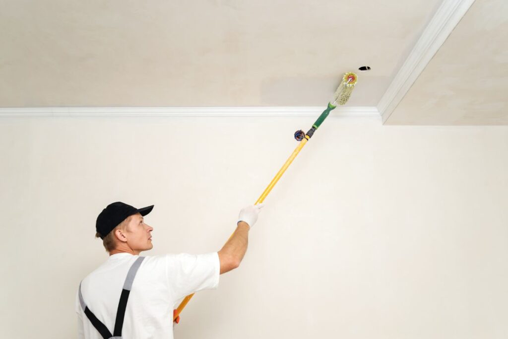 Elegí tu pintura para techos 2
