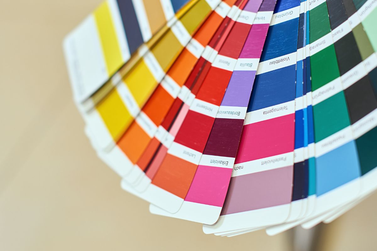 Elegí la pintura Alba ideal 4
