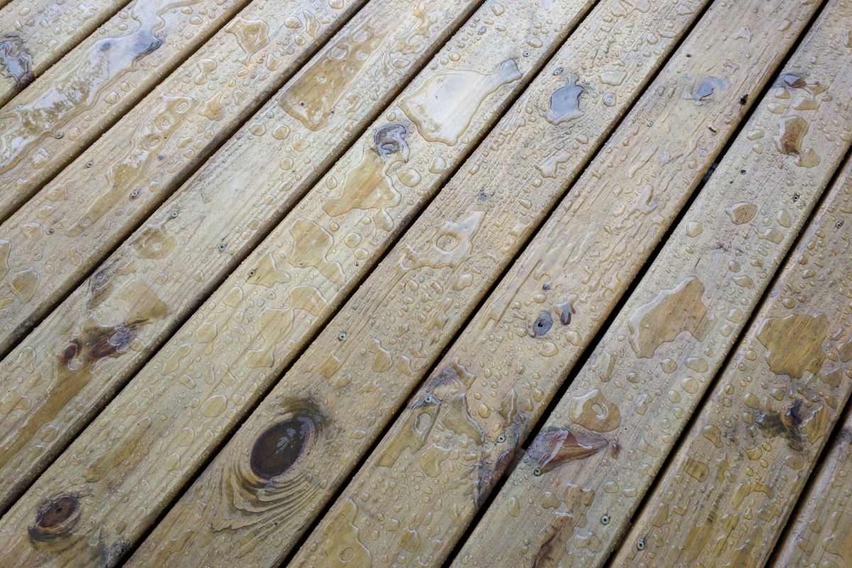 Protegé la madera de exteriores en invierno 1 Madera mojada