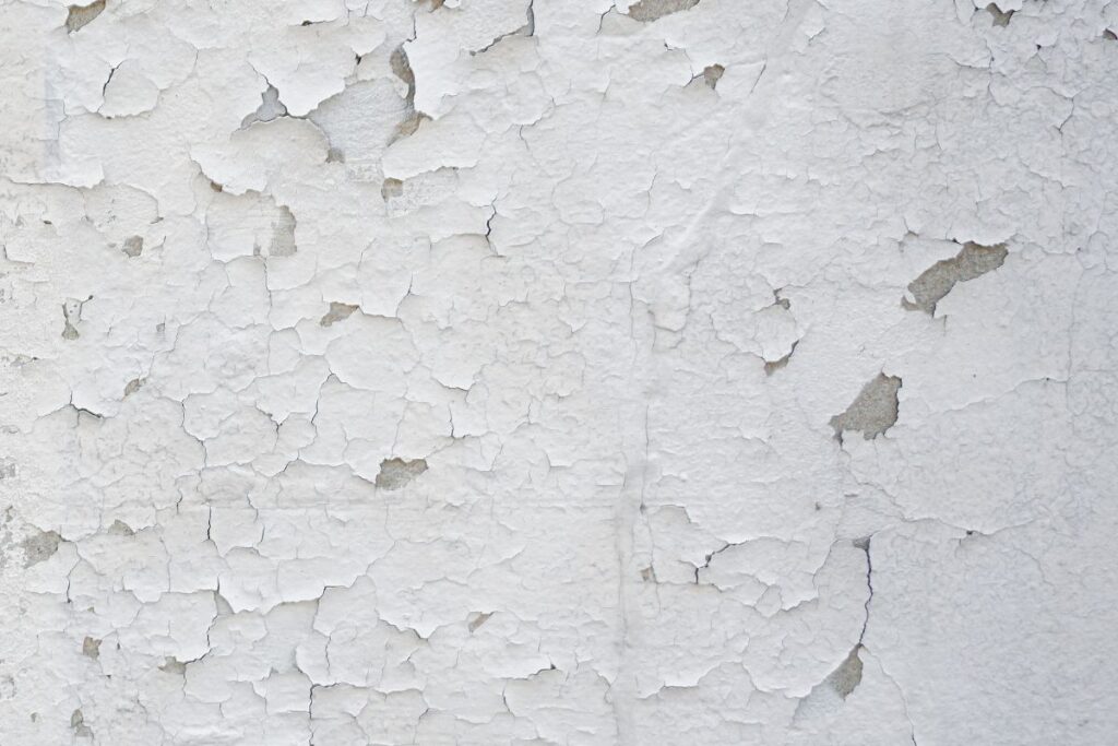 Guía para pintar mejor en Tierra del Fuego 2 Pintura saltada