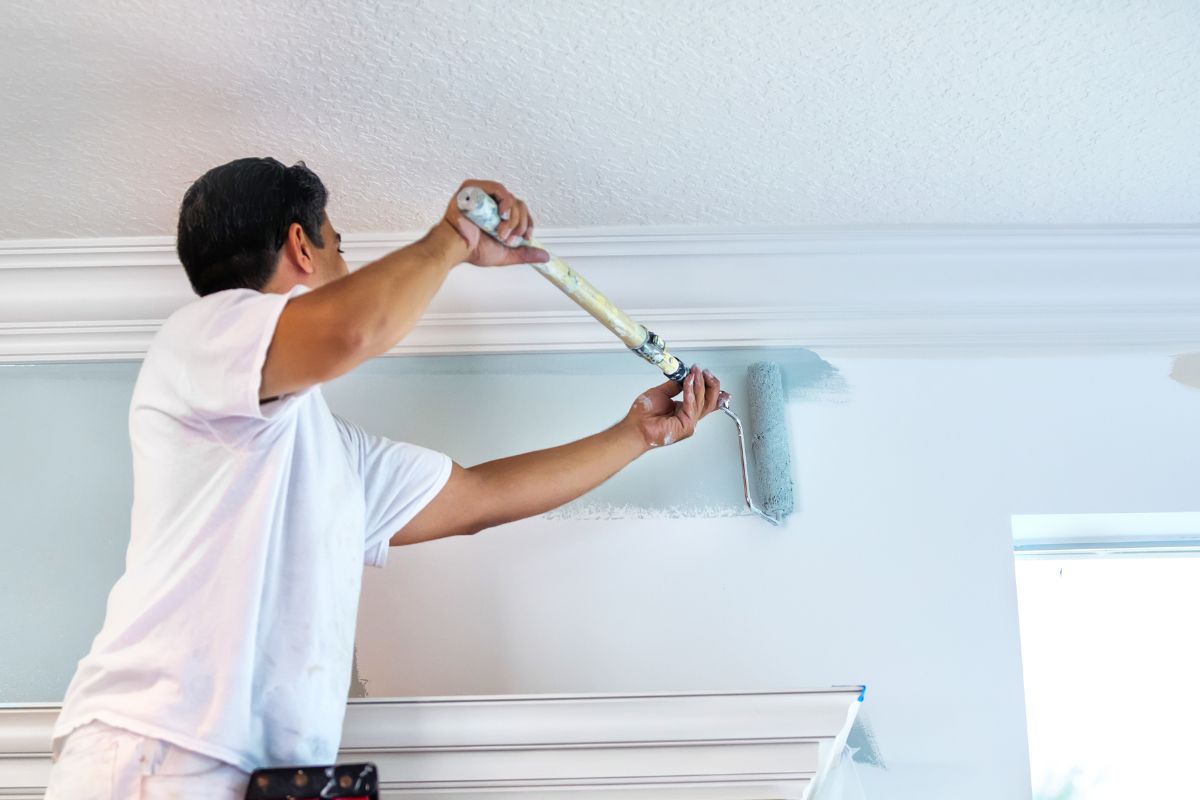 Paleta de Tierra del fuego