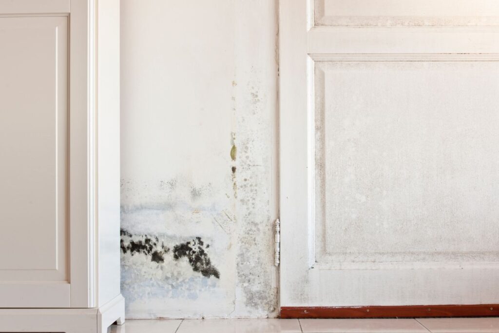 ¿Humedad o condensación? El diagnóstico antes de pintar 2 Manchas en pared